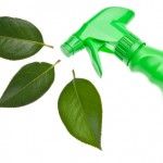 Green Ways to Keep your Home Clean