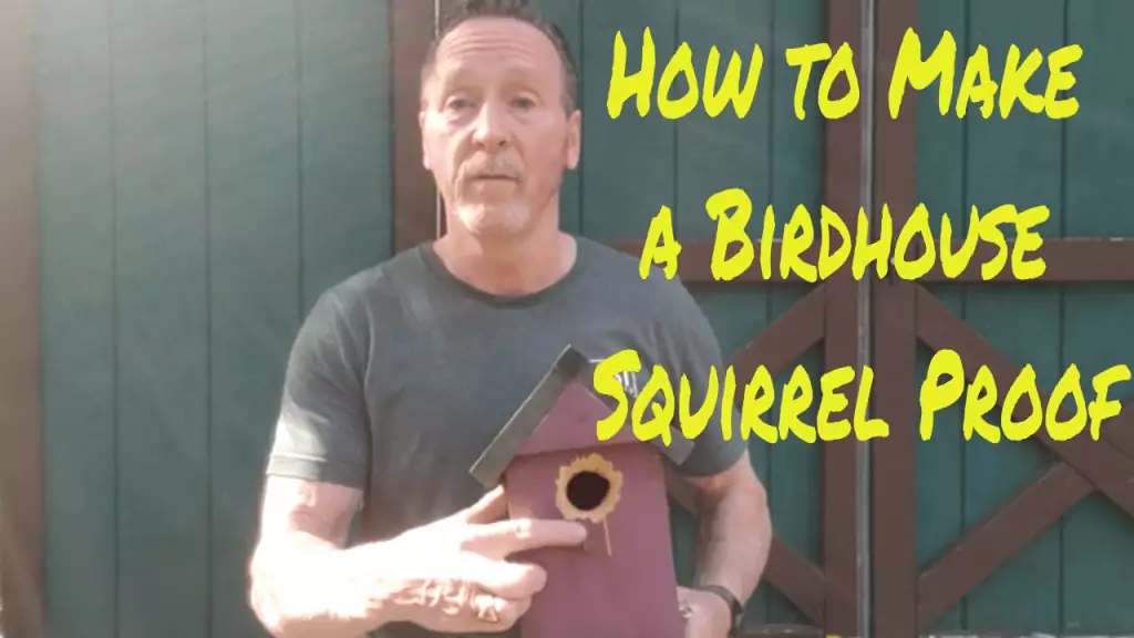 How to Make a Birdhouse Squirrel Proof