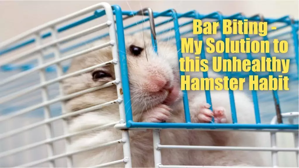 hamster biting cage